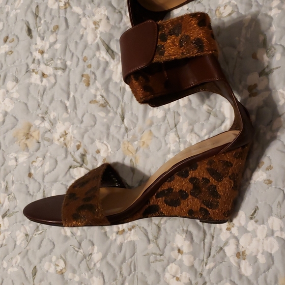 Jamie Nicole - Picture 5 of 6